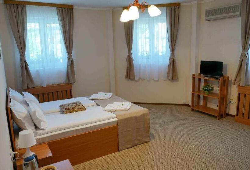 اتاق استاندارد, Bucharest Downtown Inn