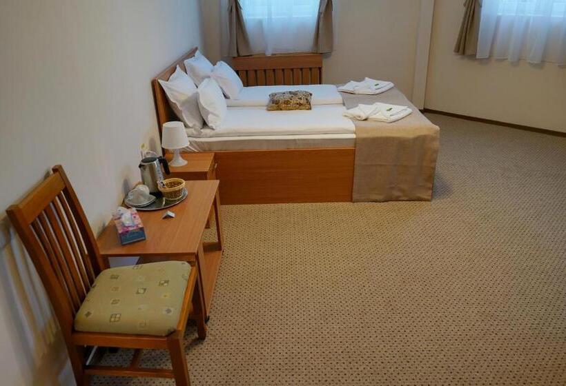 اتاق استاندارد, Bucharest Downtown Inn
