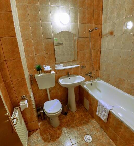 اتاق اکونومی, Bucharest Downtown Inn