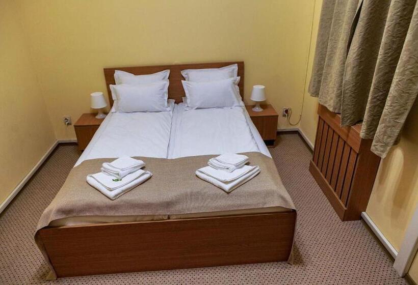 اتاق اکونومی, Bucharest Downtown Inn