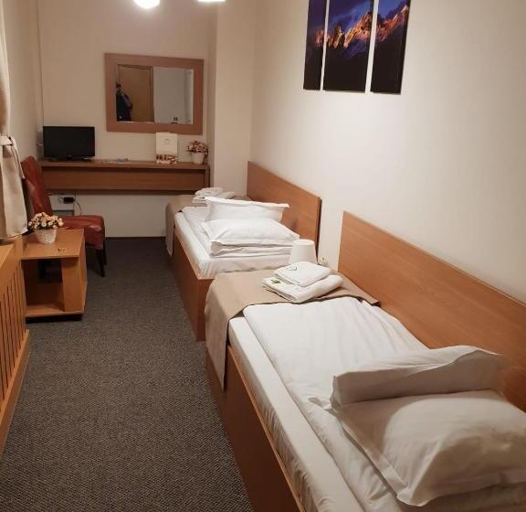 اتاق اکونومی, Bucharest Downtown Inn