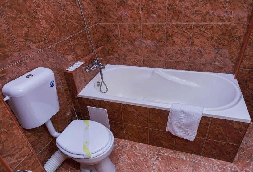 اتاق اکونومی, Bucharest Downtown Inn