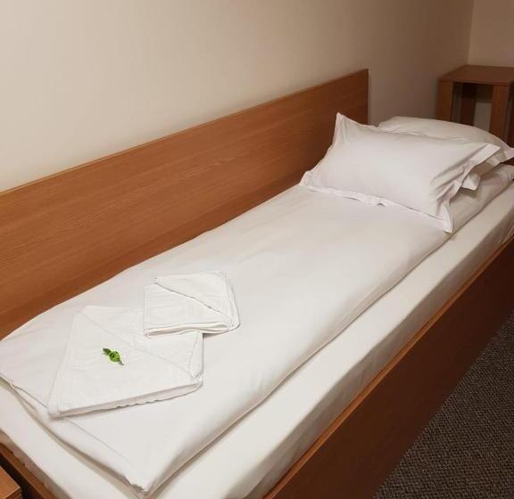 اتاق اکونومی, Bucharest Downtown Inn