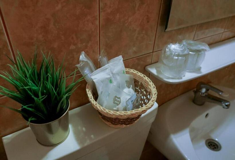 اتاق اکونومی, Bucharest Downtown Inn