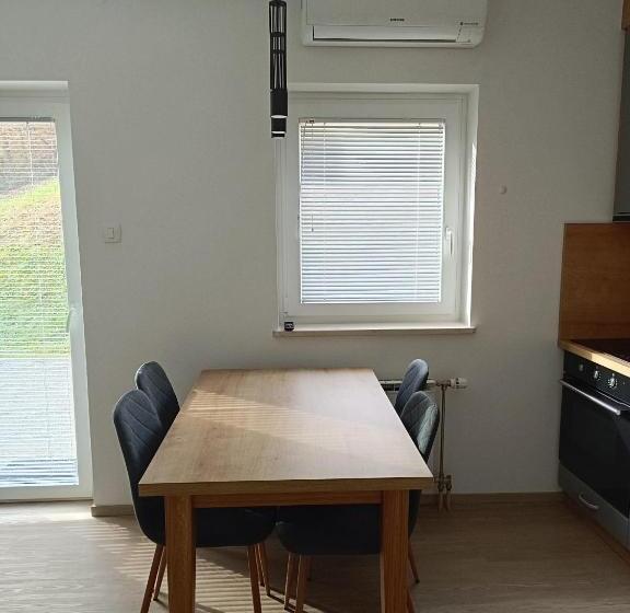 آپارتمان 1 خوابه با تراس, Guesthouse Haler