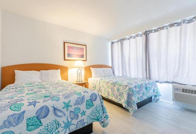 اتاق لوکس, Premiere Motel