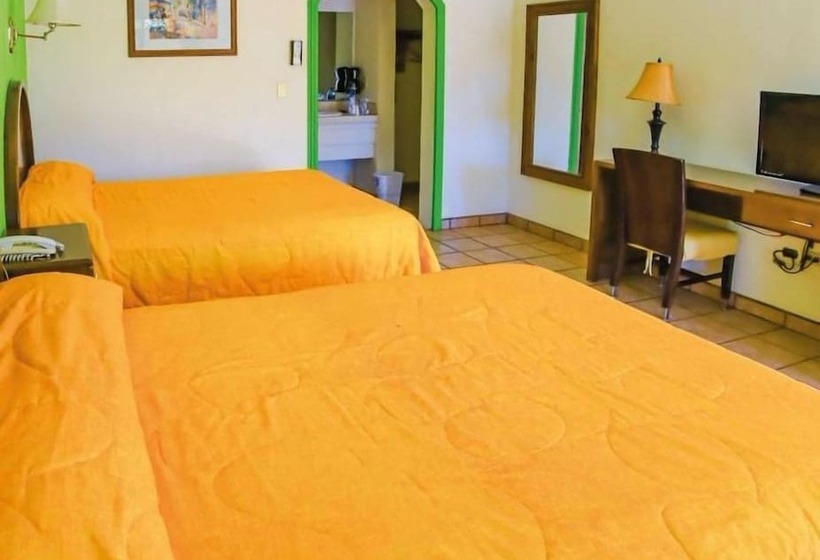 Suite, Hacienda Suites Loreto