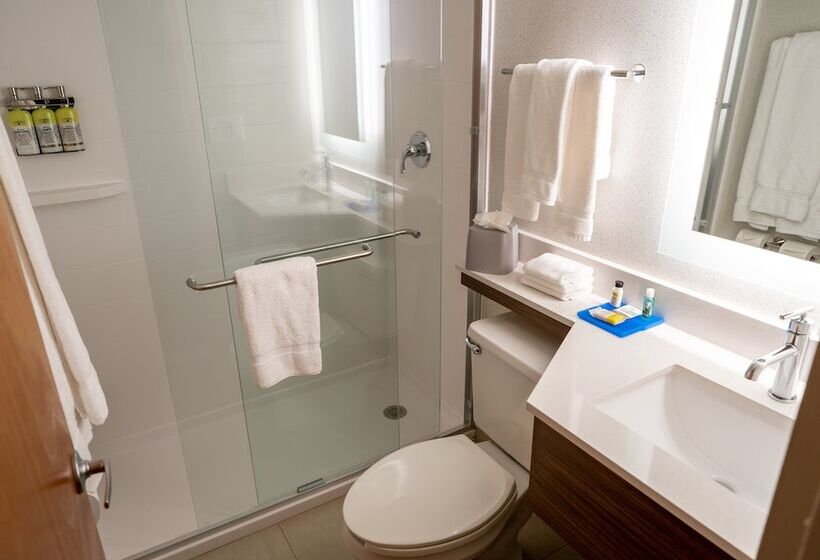 Номер Стандарт 2 Двуспальные Кровати, Holiday Inn Express Boston, An Ihg