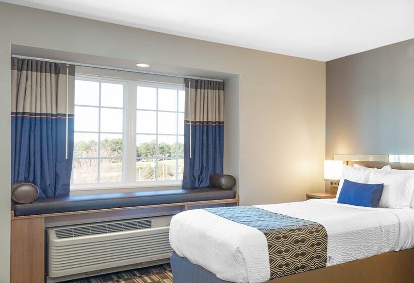اتاق استاندارد با تخت دوبل برای معلولان, Microtel Inn Suites By Wyndham South Hill