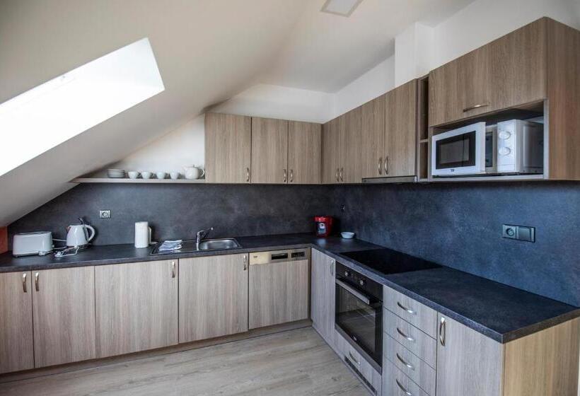 اتاق دوبلکس, Apartmány Pod Jeřábem, šanov 67, červená Voda