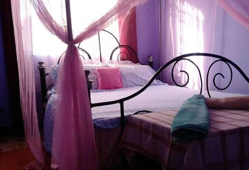 اتاق استاندارد, View Mountain House   Backpackers