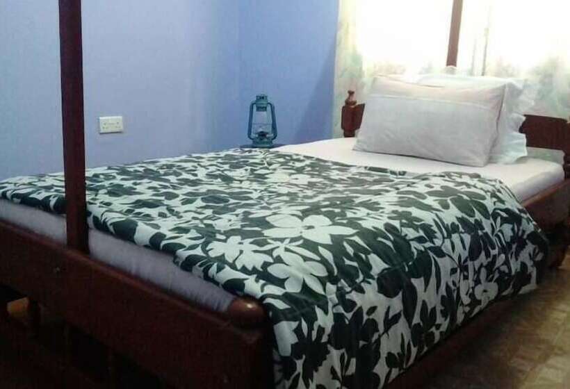 اتاق استاندارد یک نفره, View Mountain House   Backpackers
