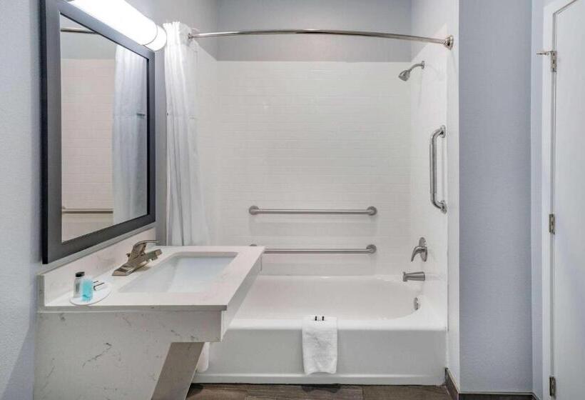 اتاق استاندارد با تخت بزرگ برای معلولان, Days Inn & Suites By Wyndham Horn Lake   Memphis Graceland