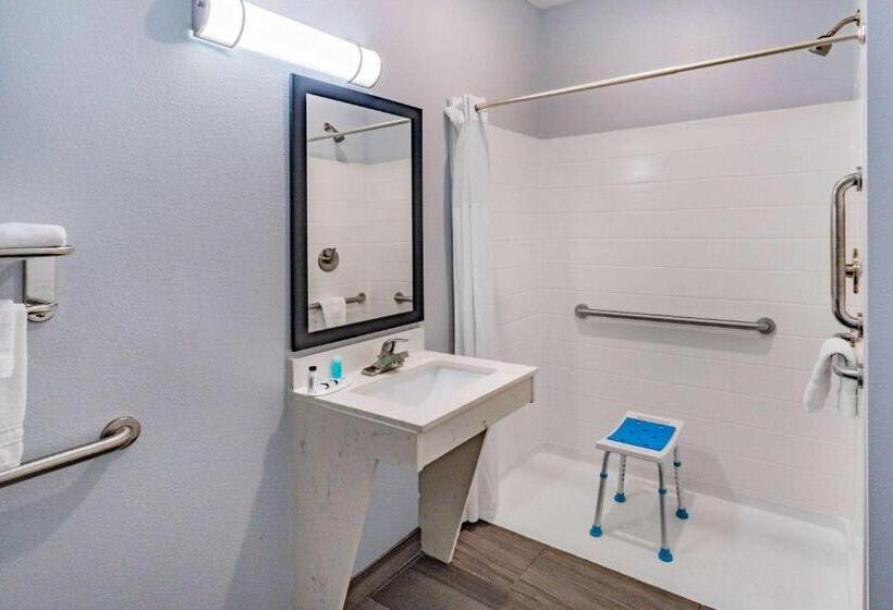 اتاق استاندارد برای معلولان, Days Inn & Suites By Wyndham Horn Lake   Memphis Graceland