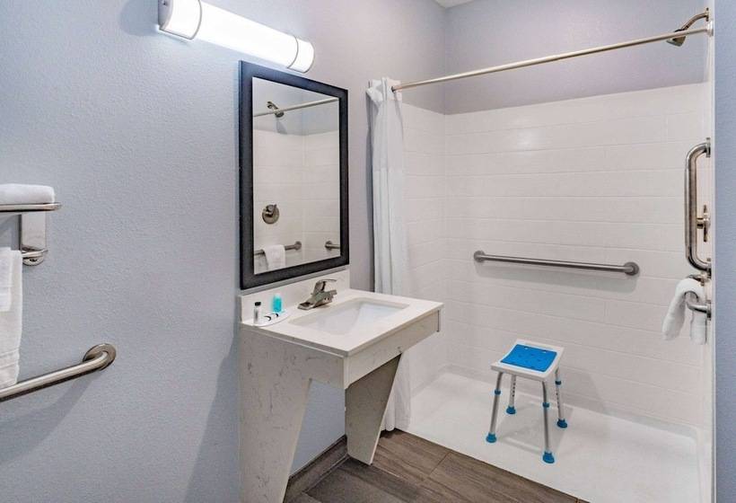 اتاق دلوکس مخصوص معلولین, Days Inn & Suites By Wyndham Horn Lake   Memphis Graceland