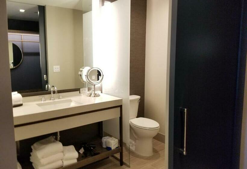 اتاق استاندارد برای معلولان, Hyatt Regency Frisco Dallas