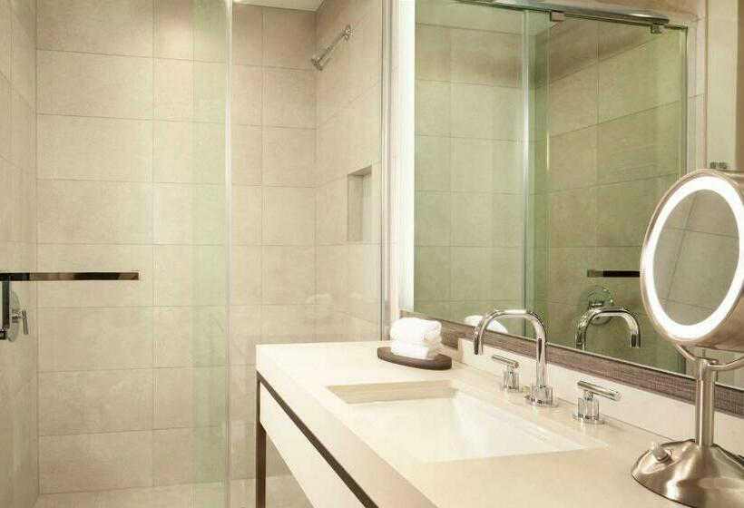 اتاق استاندارد برای معلولان, Hyatt Regency Frisco Dallas