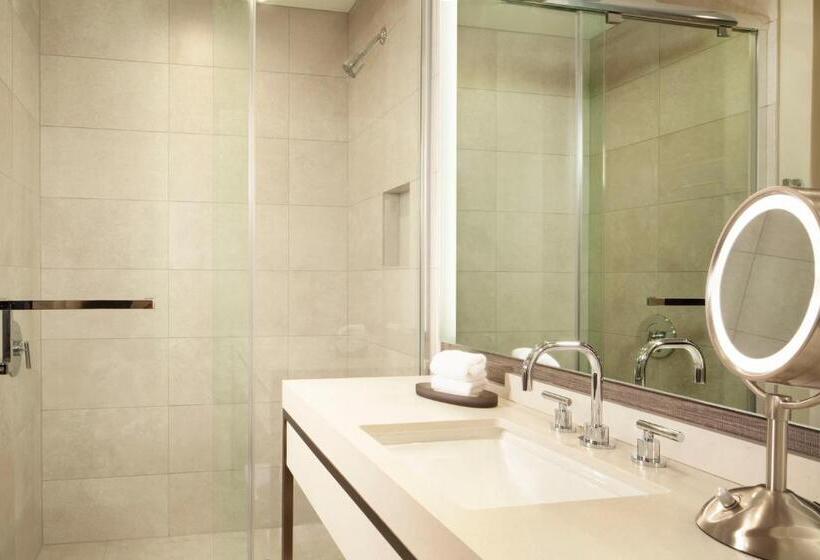 اتاق استاندارد با تخت بزرگ برای معلولان, Hyatt Regency Frisco Dallas