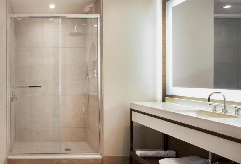 اتاق سوپریور, Hyatt Regency Frisco Dallas