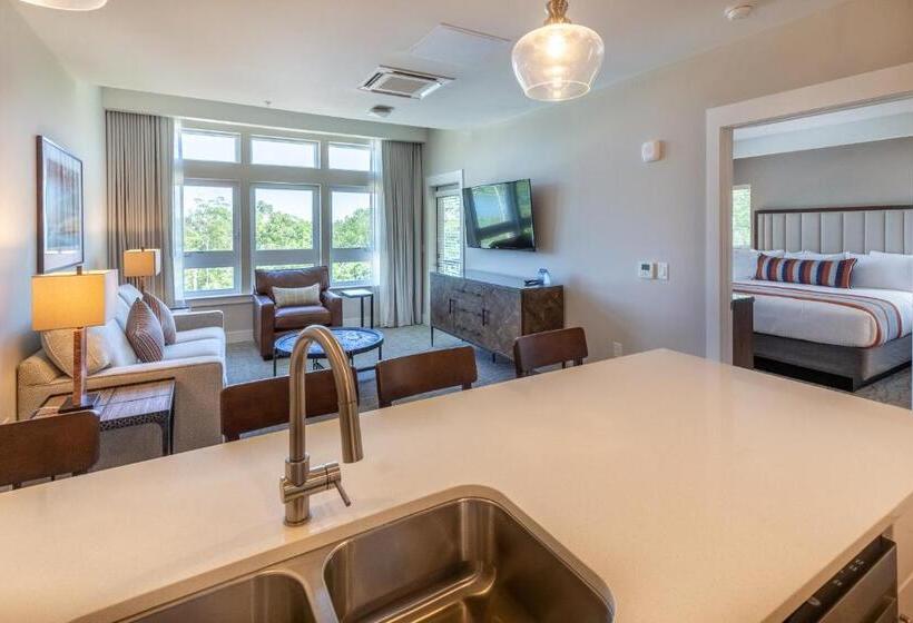 سوئیت با تخت بزرگ, Lakeside Lodge Clemson