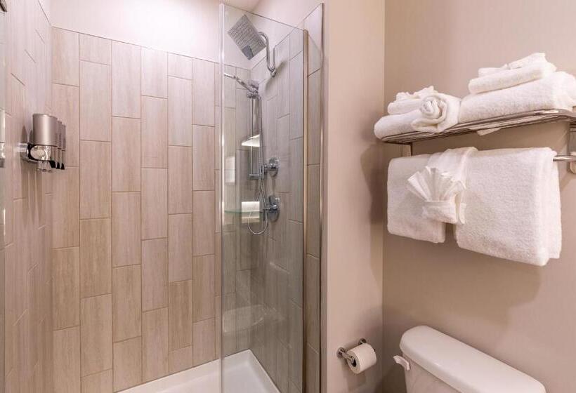 اتاق استاندارد با تخت بزرگ, Lakeside Lodge Clemson