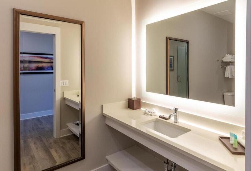 اتاق استاندارد با تخت بزرگ, Lakeside Lodge Clemson