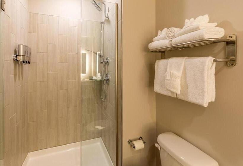 اتاق استاندارد با تخت بزرگ, Lakeside Lodge Clemson