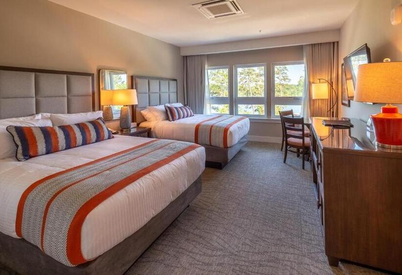 اتاق استاندارد, Lakeside Lodge Clemson