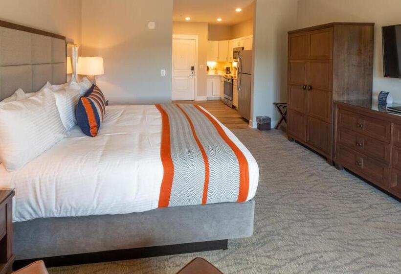 استودیو استاندارد با تخت کینگ, Lakeside Lodge Clemson