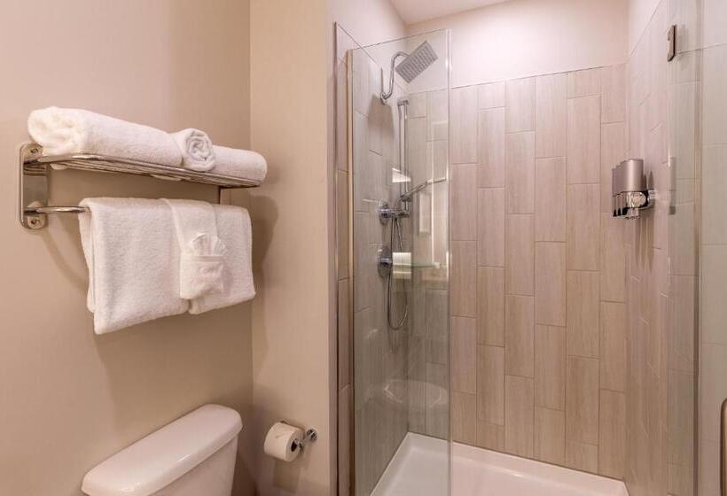 استودیوی استاندارد با تخت دو نفره بزرگ, Lakeside Lodge Clemson