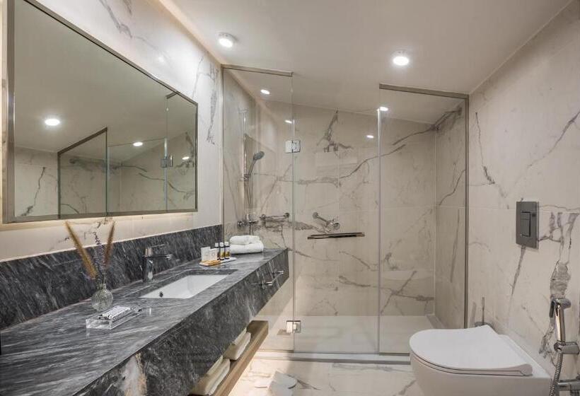 اتاق دوبلکس, Electra Kefalonia Hotel & Spa