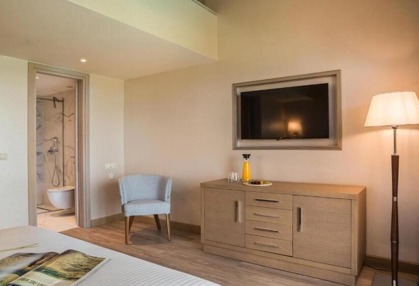 اتاق دوبلکس, Electra Kefalonia Hotel & Spa