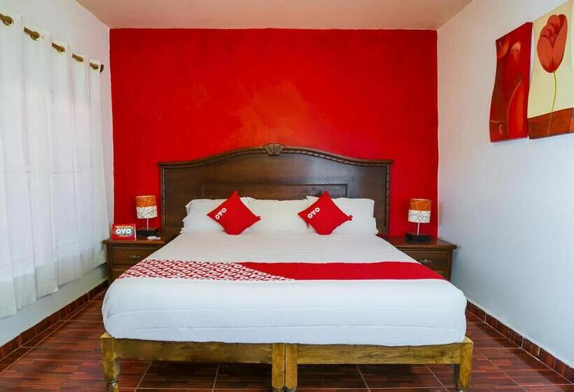 اتاق سوپریور, Oyo  Posada Los Angeles