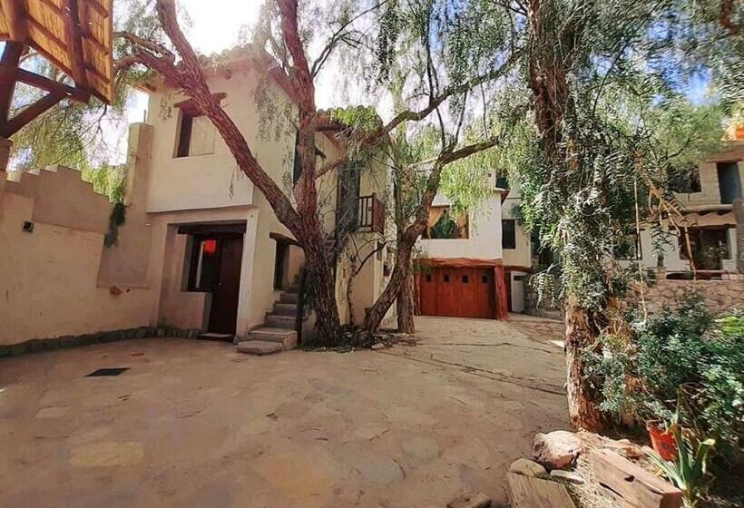 家庭洋房, La Casa De Violeta