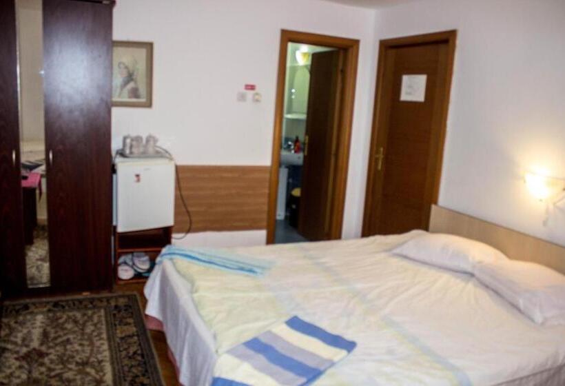 اتاق استاندارد با 2 تخت دوبل, Vila Strugurel