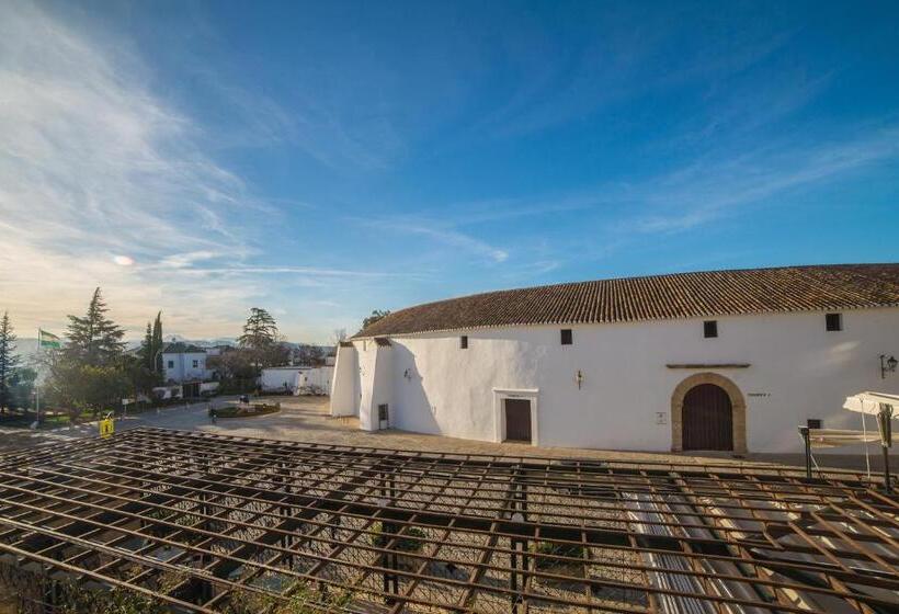 Habitación Estándar, Acinipo