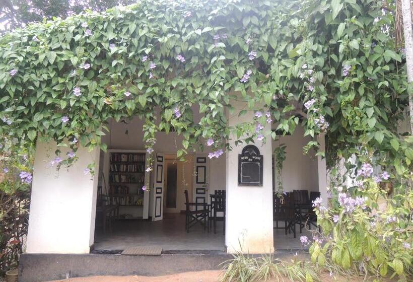 اتاق استاندارد, Bentota Home Stay