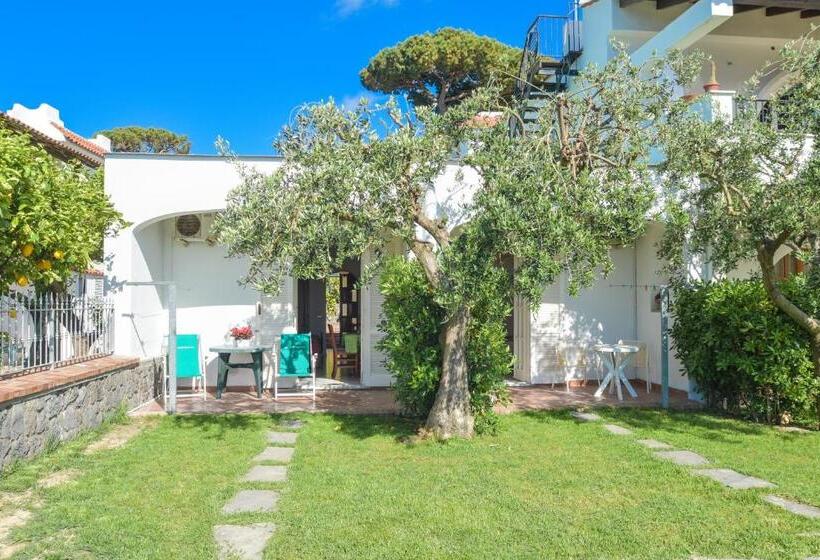 استودیوی استاندارد, Appartamenti Ischia La Sentinella