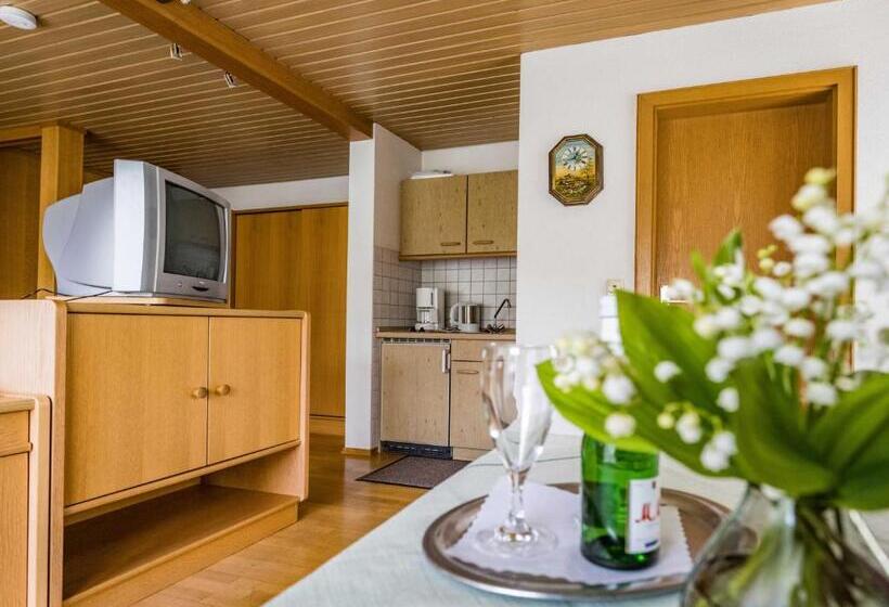 1 Bedroom Apartment with Terrace, Gästehaus Christa Mauerer