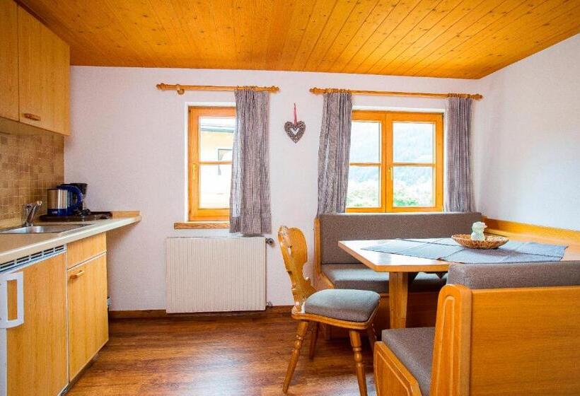 آپارتمان 1 خوابه, Gästehaus Fritz