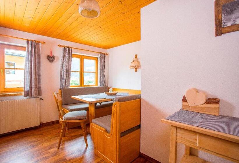 آپارتمان 1 خوابه, Gästehaus Fritz