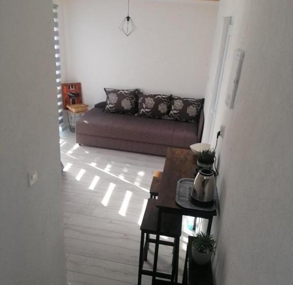 استودیوی استاندارد, Guesthouse Panorama