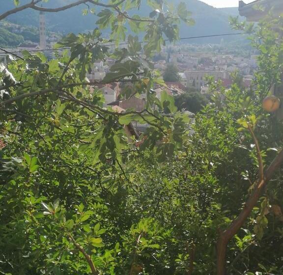 استودیوی استاندارد, Guesthouse Panorama