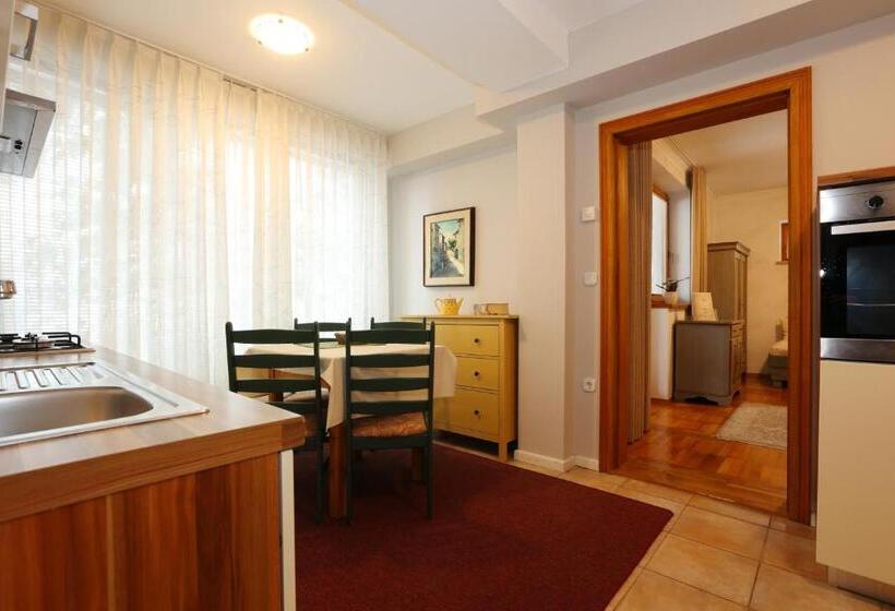 آپارتمان 1 خوابه با چشم‌انداز باغ, Vila Edelweiss Rooms&app Kranjska Gora