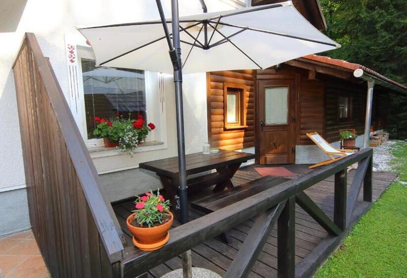 Family flat with terrace, Vila Edelweiss Rooms&app Kranjska Gora