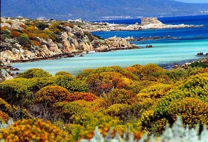 آپارتمان 1 خوابه, Rocca Ruja Vip