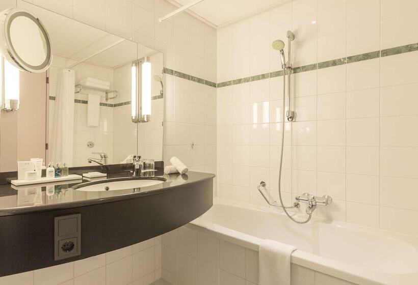 اتاق اکونومی, Radisson Blu Hotel Amsterdam Airport, Schiphol