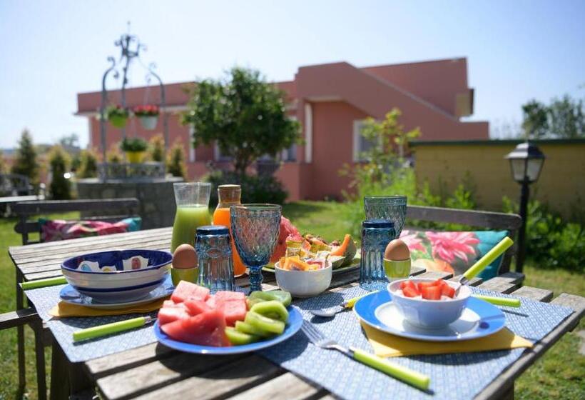 سوییت جونیور, B&b Mediterraneo