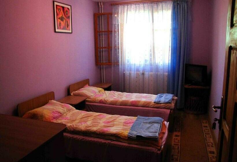 اتاق استاندارد با سرویس بهداشتی مشترک, Casa Oana