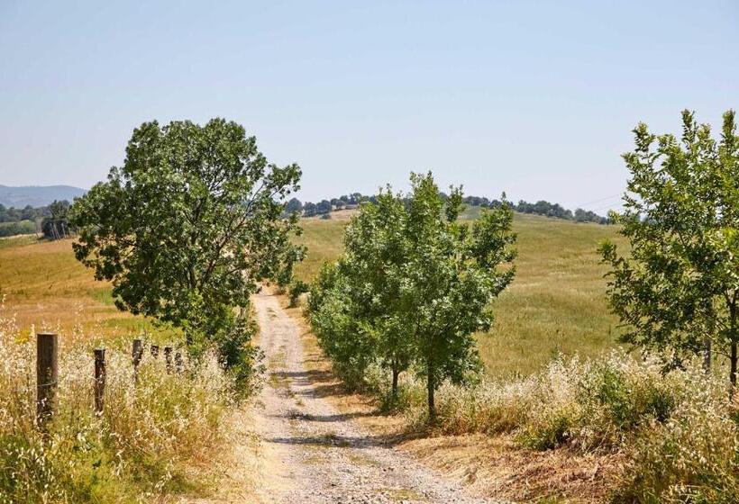 آپارتمان 1 خوابه همکف, Agriturismo Montecrespini